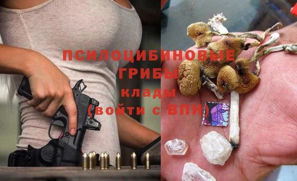бутират Лабытнанги