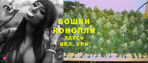 ECSTASY Ладушкин