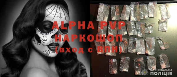ECSTASY Ладушкин