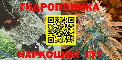 каннабис Дубна