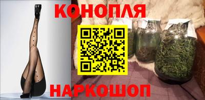 крисы Беслан