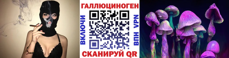 MEGA ссылки  Фрязино  Псилоцибиновые грибы Psilocybe 