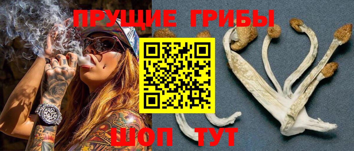 Псилоцибиновые грибы мицелий  Вход с VPN  где найти наркотики  Фрязино 