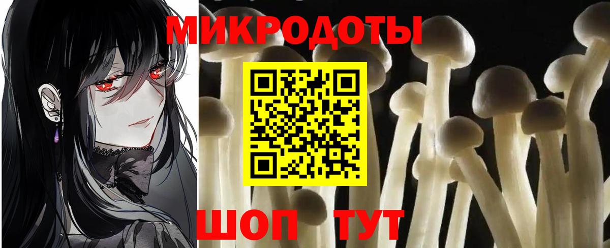 Псилоцибиновые грибы Psilocybe Фрязино